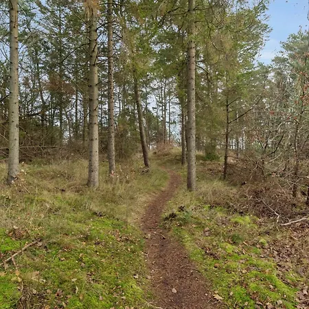 Peaceful Near And Nature * Hadsund